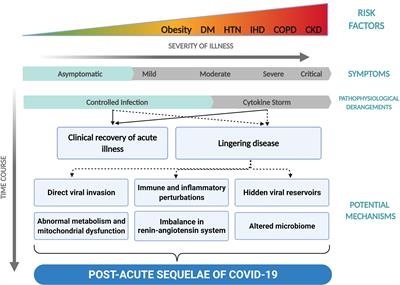 Frontiers | Unraveling The Mystery Surrounding Post-Acute Sequelae Of ...